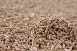 Pellets Pine |  Firewood, briquettes | SCOPULUS Handels-und Dienstleistungs GmbH 