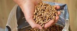 Pellets Pine |  Firewood, briquettes | SCOPULUS Handels-und Dienstleistungs GmbH 