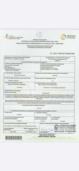 Teak Joinery lumber |  Tropical wood | Lumber | SOFT IT SP .ZO.O SPÓŁKA Z OGRANICZONĄ ODPO